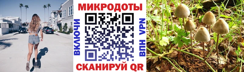 mega вход  Сегежа  Галлюциногенные грибы Psilocybe 